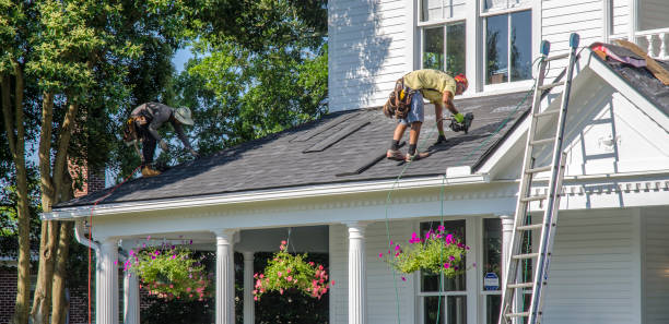 Best Roof Gutter Cleaning  in Mantua, VA